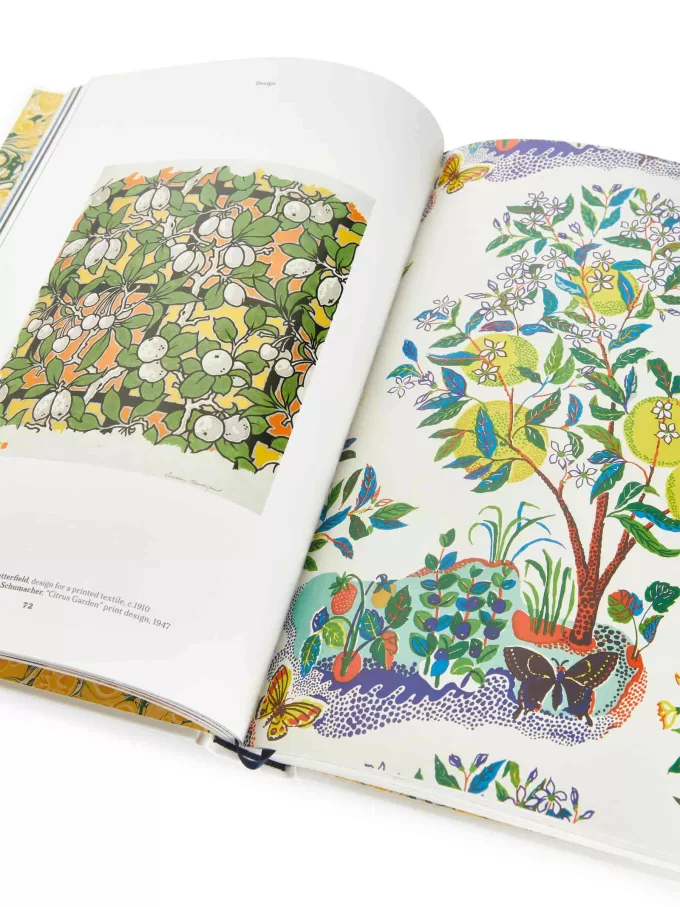 El limón del gourmet