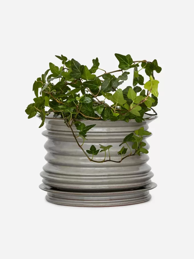 Maceta de cerámica Maceta de cerámica