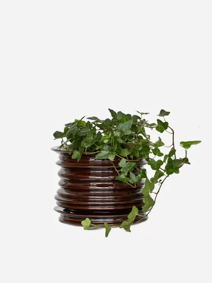 Maceta de cerámica Maceta de cerámica