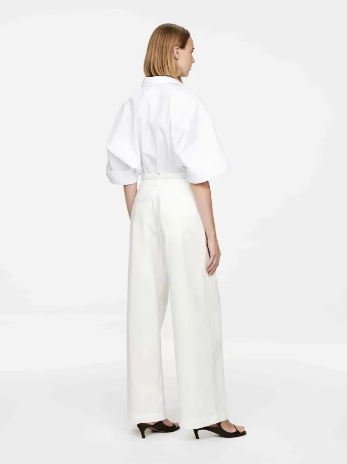 Pantalones Plisados Pantalones Plisados